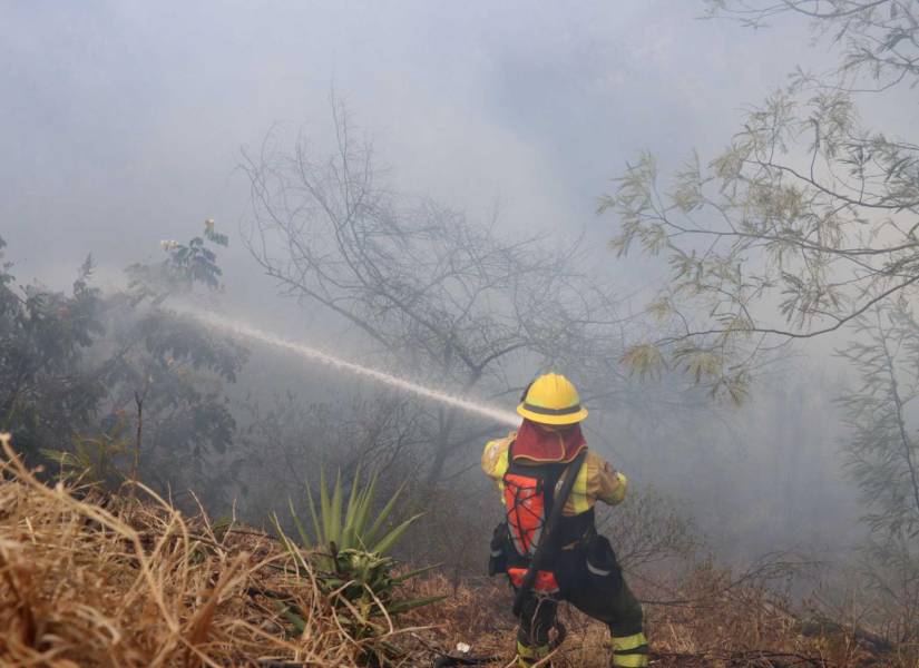 El jueves 5 de septiembre del 2024 hubo un incendio en el Valle de Tumbaco, Quito.