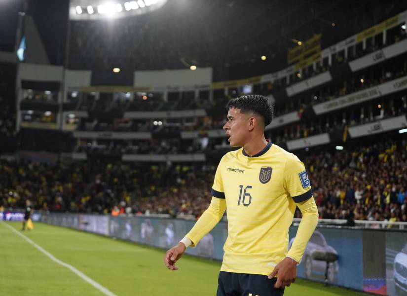 Ecuador jugará la octava fecha de las Eliminatorias Sudamericanas.