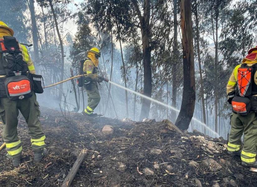 Incendio forestal en Mena del Hierro.